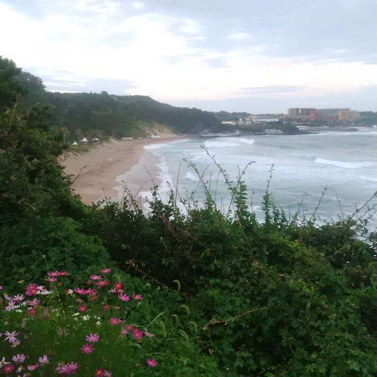 Jeju Island Hyatt Resort Ocean Views