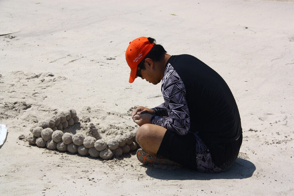 Gimnyeong Beach Sandballs