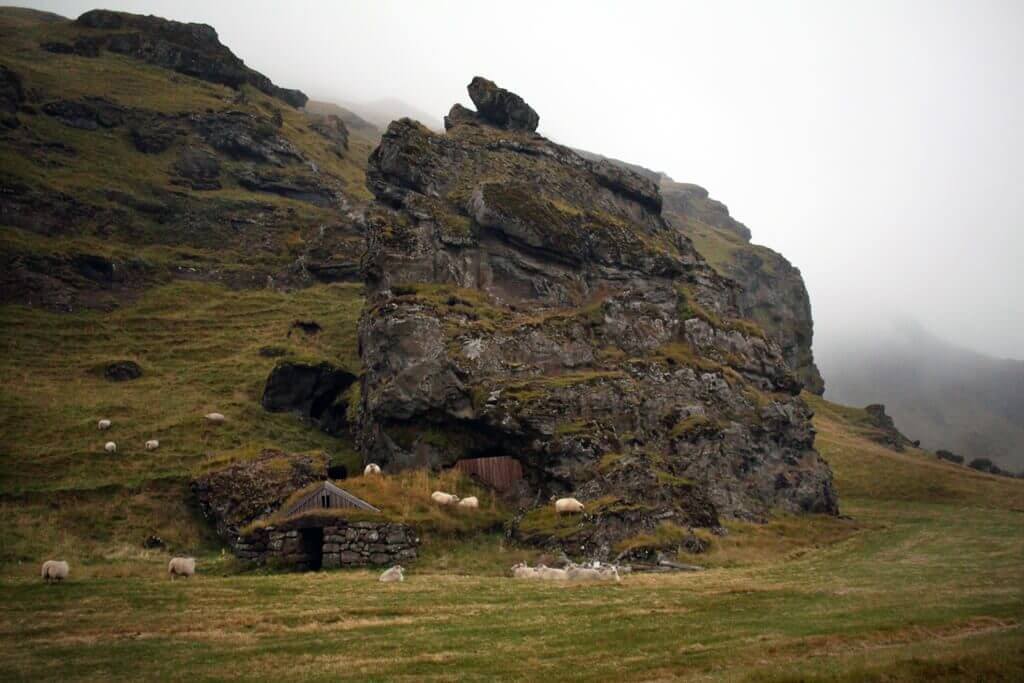 Iceland Rock Face & Sheep