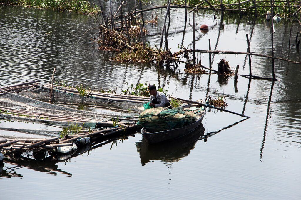 Vietnam Boat Gardening