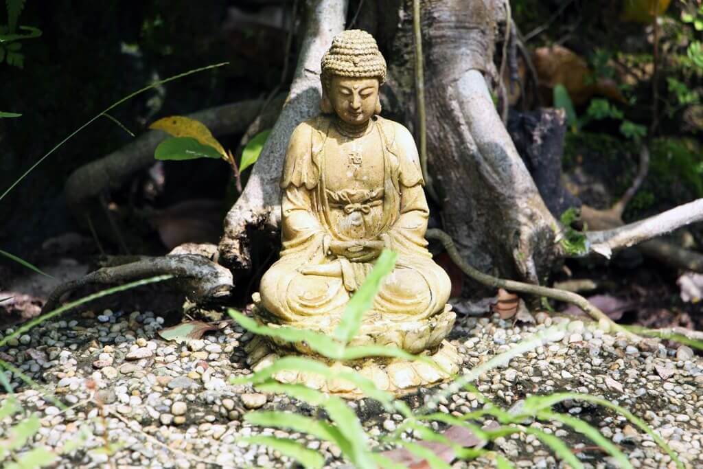 Vietnam Tiny Buddha