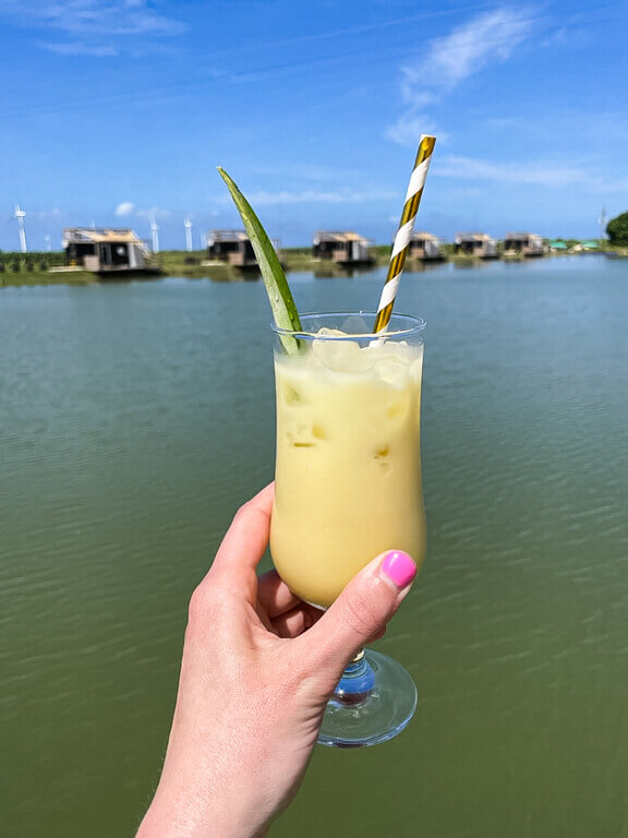 Puerto Rico Pineapple Cocktail at Finca Don Manuel Farm