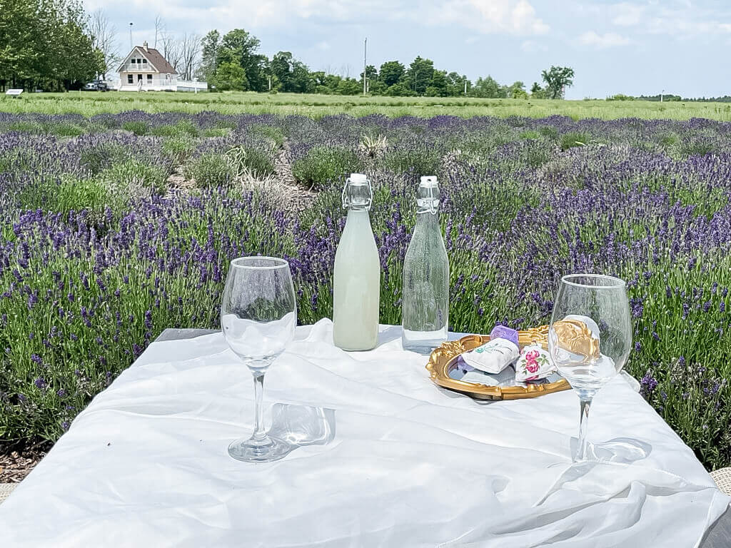 Table Setting at Lavender Polo Farm