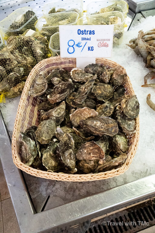 Oysters in Portugal
