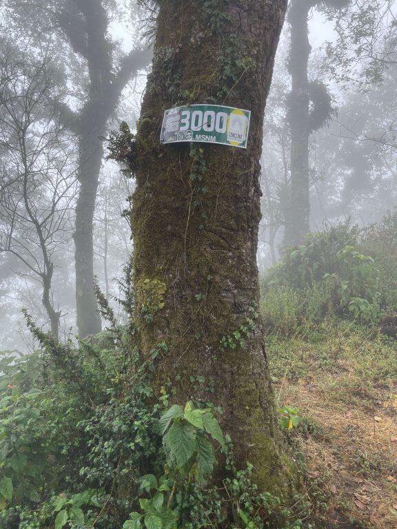 Altitude Signs on Volcan San Pedro in Guatemala