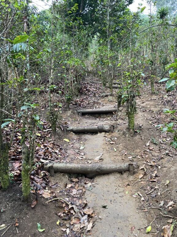 Wooden Trail Steps on Volcan San Pedro in Guatemala